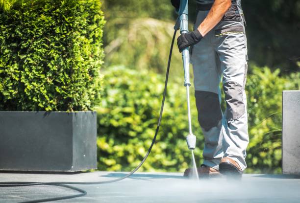 Best Animal Enclosure Cleaning  in , NH